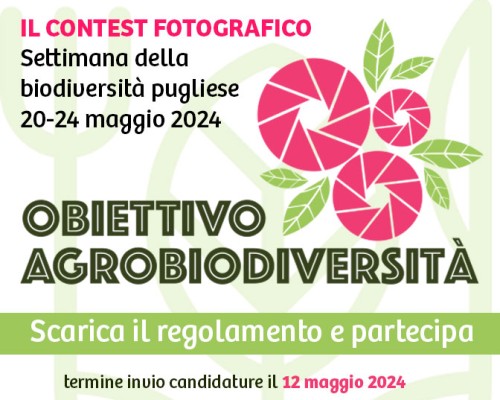 Tra cibo e fotografia: la nuova edizione del concorso “Obiettivo Agrobiodiversità”